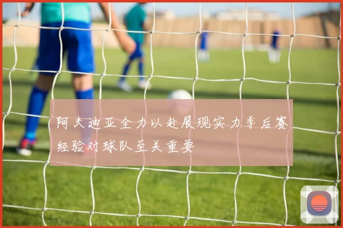 阿夫迪亚全力以赴展现实力季后赛经验对球队至关重要