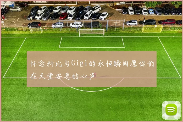 怀念科比与Gigi的永恒瞬间愿你们在天堂安息的心声